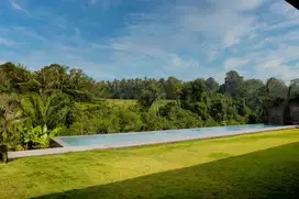 RIVERFRONT VILLA WITH JUNGLE AND RICE FIELDS VIEWS