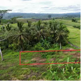 Tanah murah tabanan view gunung dekat kota bajera
