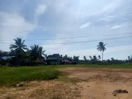 Disewakan tanah 16000m2 lebar 54m datar pinggir jalan poros Lamaru