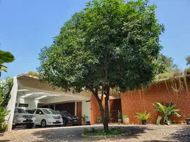 Dijual cepat rumah Lux di kawasan pejaten