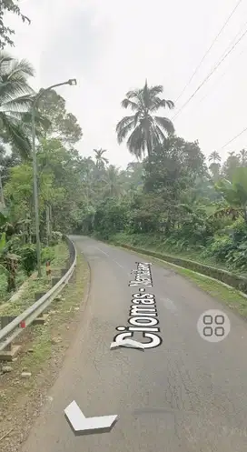 Dijual tanah pinggir Jl. Ciomas - Mandalawangi, 7 Ha, SHM, 125rb/m2