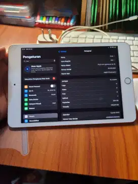 iPad Mini 5 Cellular+Wifi 256GB Gold