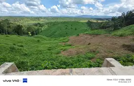 DIJUAL TANAH DI IKN NUSANTARA