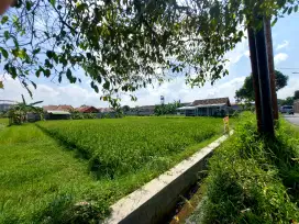 Tanah Di Jual - Cupuwatu 1 - Pekarangan Hak Milik Pribadi