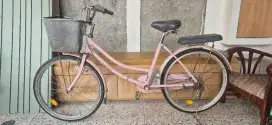 Sepeda Jengki keranjang Exotic 9788GX