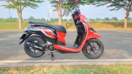 Honda Scoopy sporty 2020