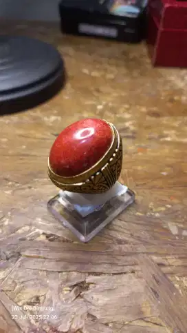 Natural Red Coral / Batu Marjan