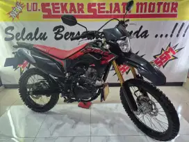 CRF 150 L 2023 istimewa