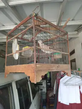 Puter pelung melengkung