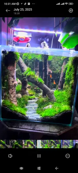Aquarium aquascape 40x40x40 hijau lebat