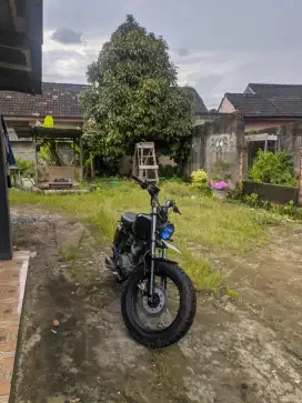 Jual motor costume Tiger