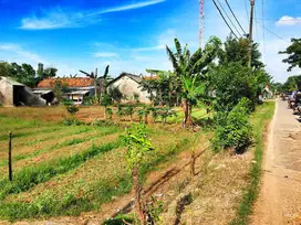 Tanah Luas2.478 SHM Di Pinggir Jalan Raya Babelan Bekasi untuk Cluster