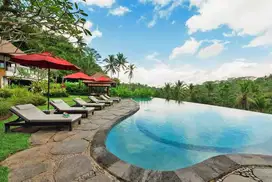 Villa Mewah View Hutan dan Sawah di Payangan Ubud