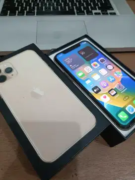 Iphone 11 Pro Hold