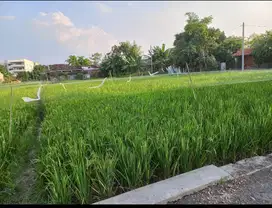 DIJUAL TANAH LUAS ±800 DI KLODRAN COLOMADU