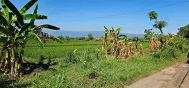 Dijual sebidang Tanah  di pinggir pantai Kerobokan Penarukan Sin