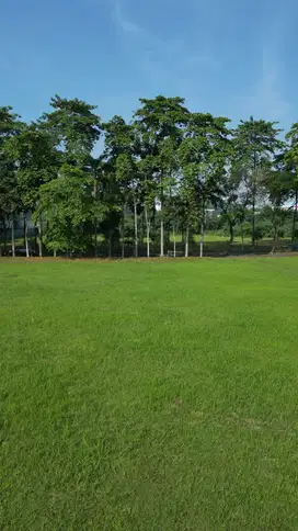 Dijual Kavling Bukit Golf BSD Tangerang Selatan Banten