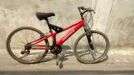 Sepeda dewasa bermerek layak pake