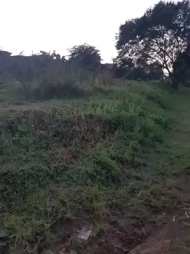 Jual Tanah Kebun Butuh Uang
