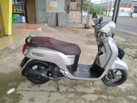 Fazzio tahun 2023