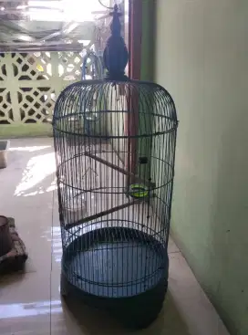 Kandang lovebird sangkar burung lovebird warna biru karangpilang sby