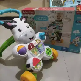 Pushwalker bayi