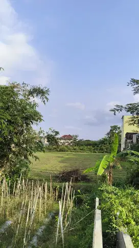 Tanah Cocok Hunian atau Rukost Hanya 5 Menit Taman Merjosari Malang