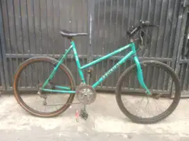 Sepeda federal jadul antik Stray cat ML 40