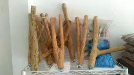 Tangkringan kayu kopi