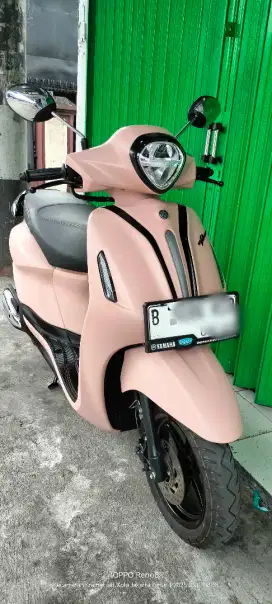 Green Filano neo th 2025 bln 3 ping doof