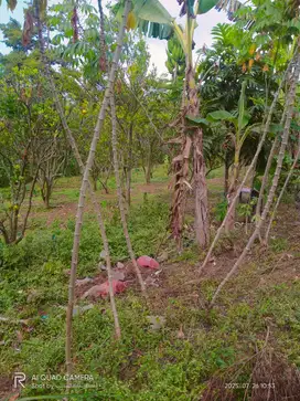 Jual murah lahan pribadi SHM