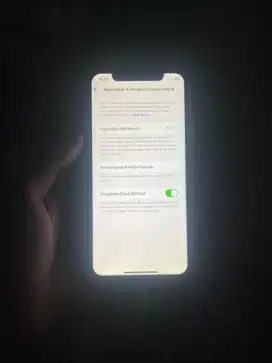 iPhone Xs 64 wifi