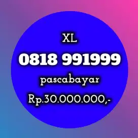 NOMOR CANTIK XL 991999
