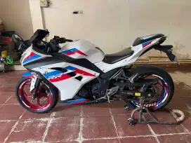 Ninja 250Fi Stiker BMW SR1000