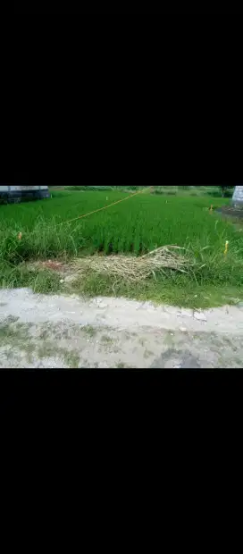 Tanah murah di menganti