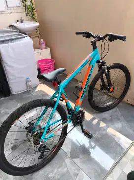 sepeda MTB Polygon monarch