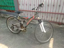 Sepeda Polygon Tango