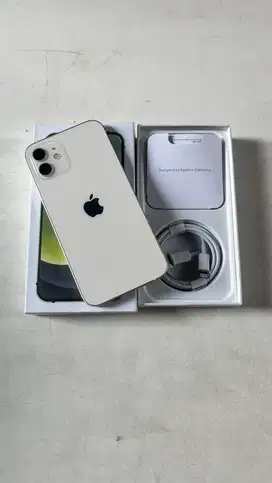 iPhone 12 Basic 256gb int