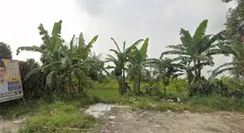 Kavling Murah Strategis Di Area Wisata TamanSari Bogor Harga Lanching