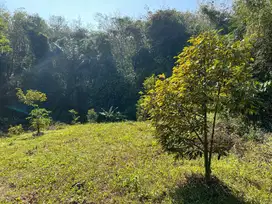 Tanah 1018m² ~ 200 Jt Dekat Sungai Pegunungan Karanganyar