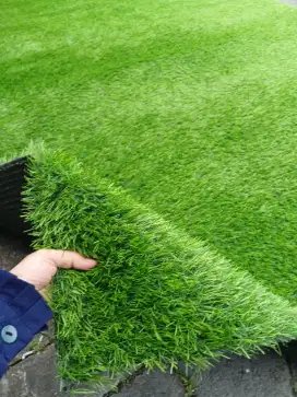 Jual rumput sintetis 2,5cm