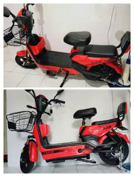 Dijual Selis Exotic