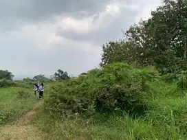 Tanah Kavling Murah Landungsari Kota Malang Dekat Pondok Thursina