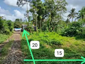 Dijual tanah kebun tajinan