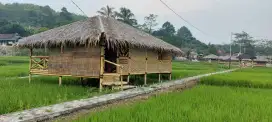 Jual Sawah Cepat