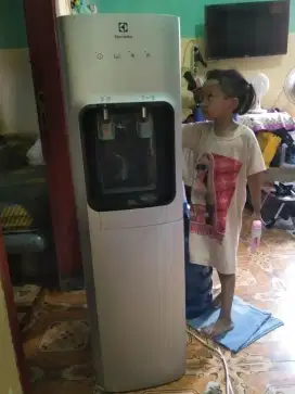 Dispenser electrolux waow