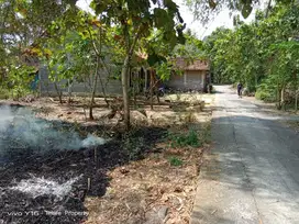 Tanah Pekarangan Bagus Murah di Pandak Bantul TP 028
