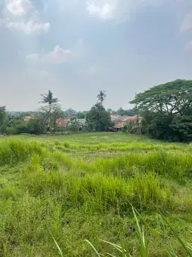 Dijual Tanah Sawah 4.750 m2 harga 250.000/m2