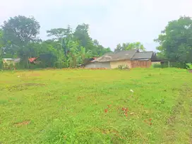 Invest atau Bangun Hunian, 10 Menit Kawasan Deltamas Bekasi