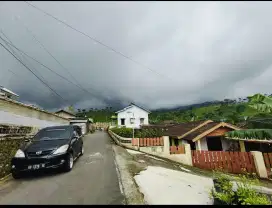Tanah datar kemuning